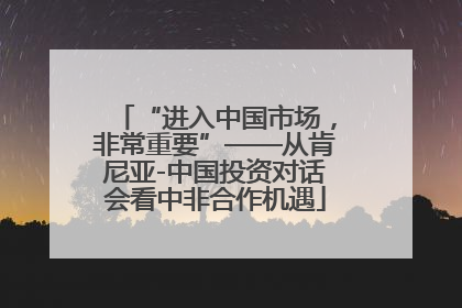 “进入中国市场，非常重要”——从肯尼亚-中国投资对话会看中非合作机遇